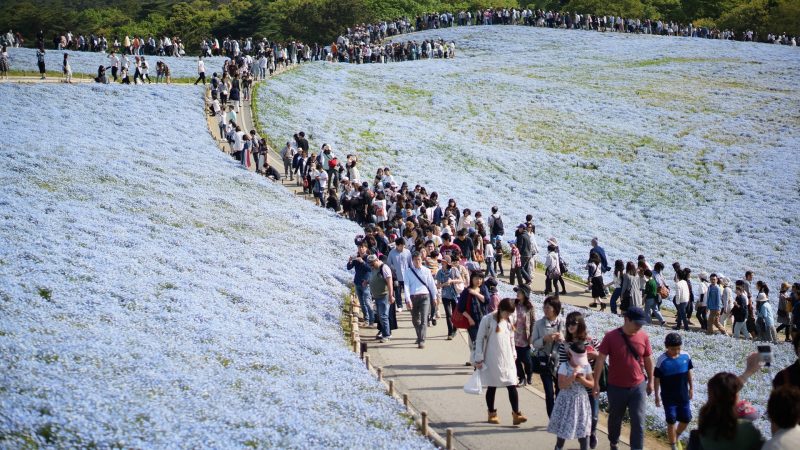 茨城県でキッチンカーを開業！格安レンタル、リースで始められる方法とは？