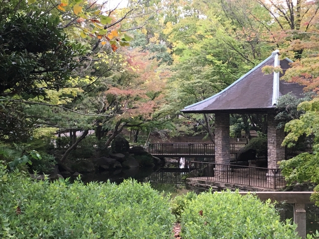 【キッチンカー出店場所】杉並区の公園にキッチンカーが出店しています！