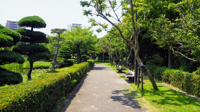 【キッチンカー出店場所】江戸川区の公園にキッチンカーが出店しています！