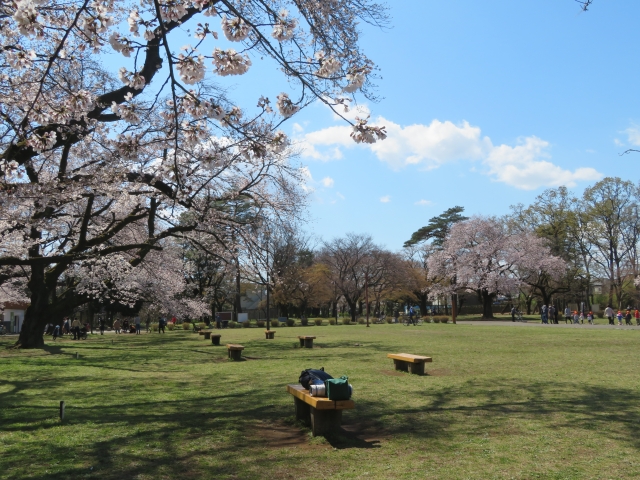 【キッチンカー出店場所】小金井市の公園にキッチンカーが出店しています！