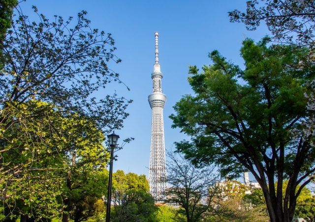 東京でキッチンカーを呼びたい！来てもらうにはどうすれば良いの？流れや人気メニューを解説