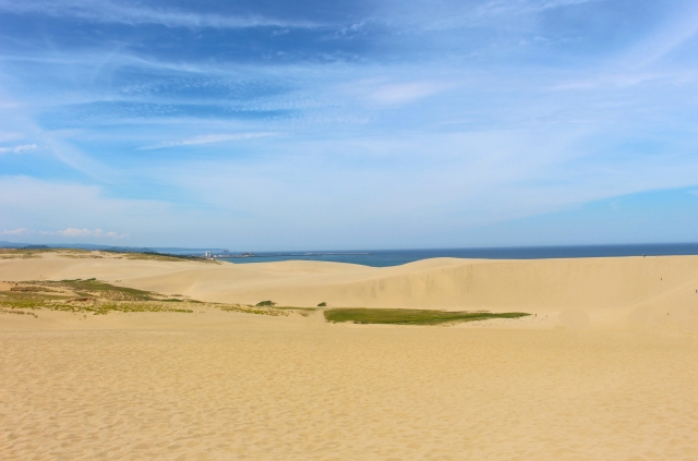 鳥取市でキッチンカー開業するなら格安のレンタル・リース！営業許可取得の流れも解説！