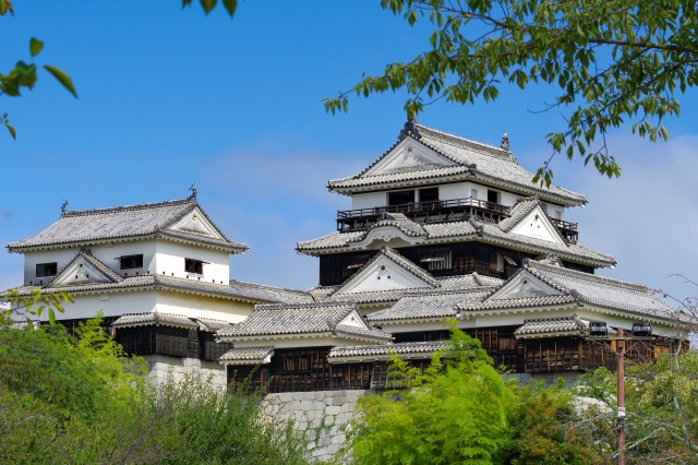 愛媛県でキッチンカー開業！低資金で始めるにはレンタル・リースがおすすめ！