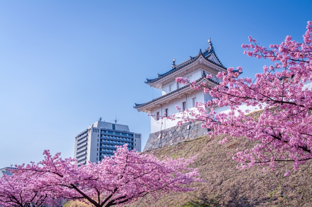 宇都宮市でキッチンカー開業するなら格安のレンタル・リース！営業許可取得の流れも解説！