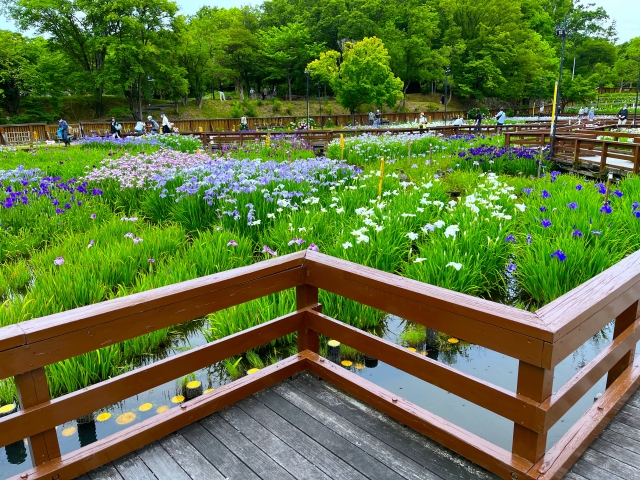 枚方市でキッチンカーを製作して開業するにはどうすればいいのか？