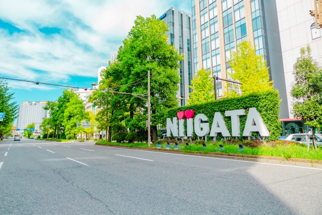新潟市でキッチンカー開業するなら格安のレンタル・リース！営業許可取得の流れも解説！