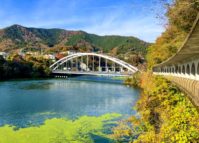 相模原市でキッチンカーを製作して開業するにはどうすればいいのか？