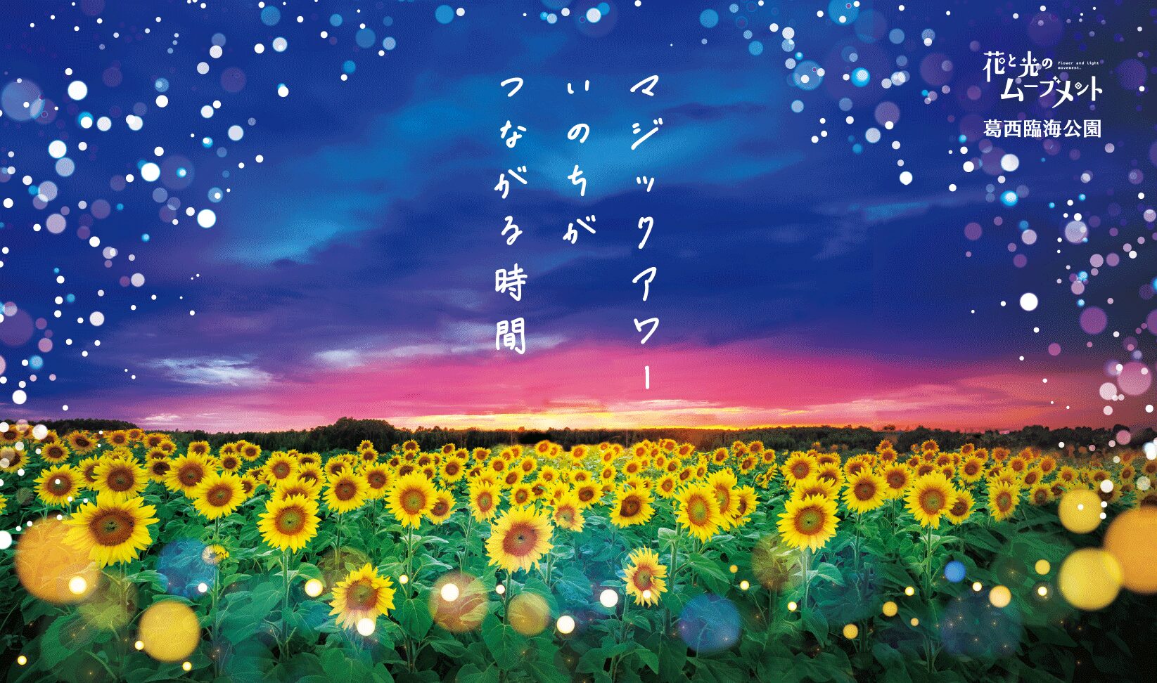 【キッチンカーイベント情報】花と光のムーブメント 葛西臨海公園が開催されています！